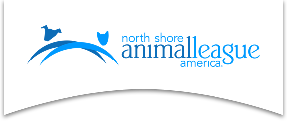 North shore animal league america new arrivals