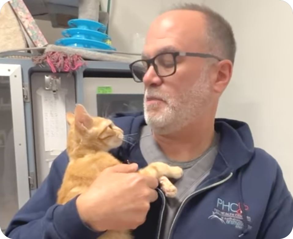 Dancing Between Urgency and Patience