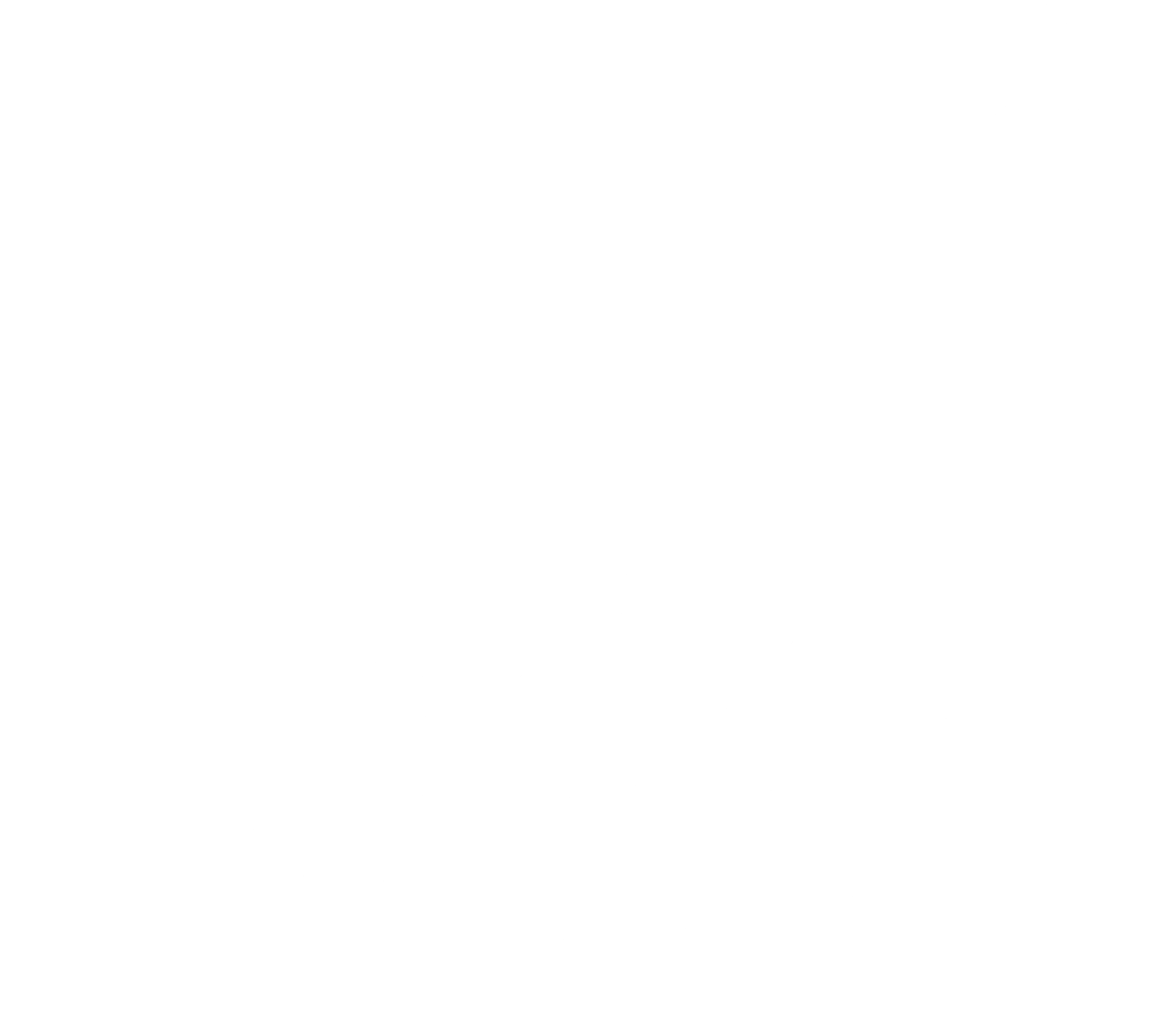 cat in city