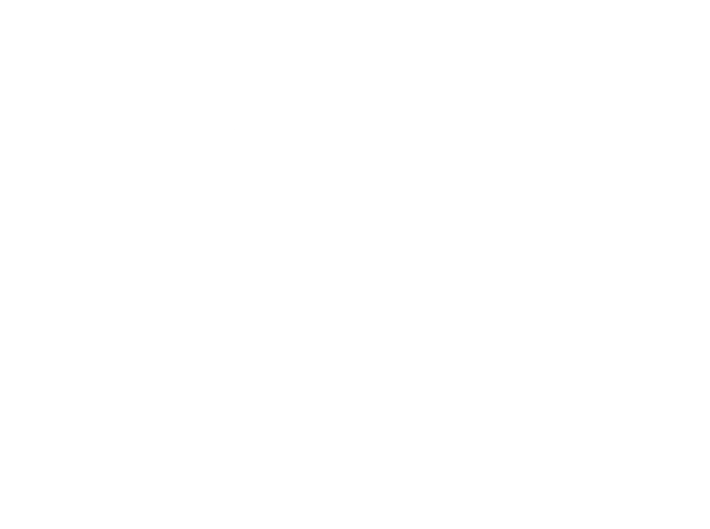 cat illustration