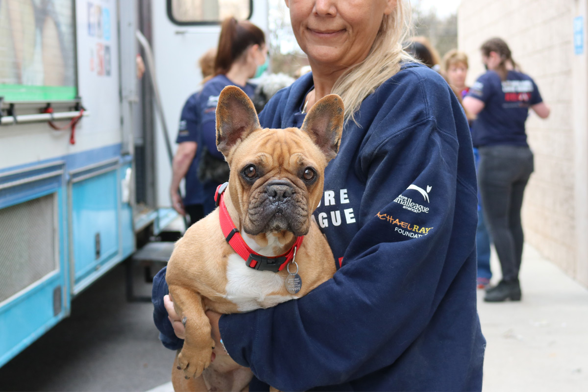 nsala_blog_feature_seo_rescuedog_1a_2022_1200x800