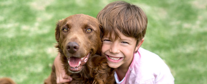 a boy hugging a dog
