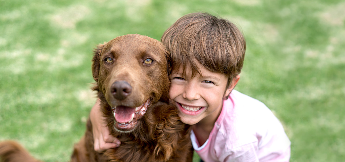 Kids and Pet Safety Rules | Life with Pets | Blog | Animal League