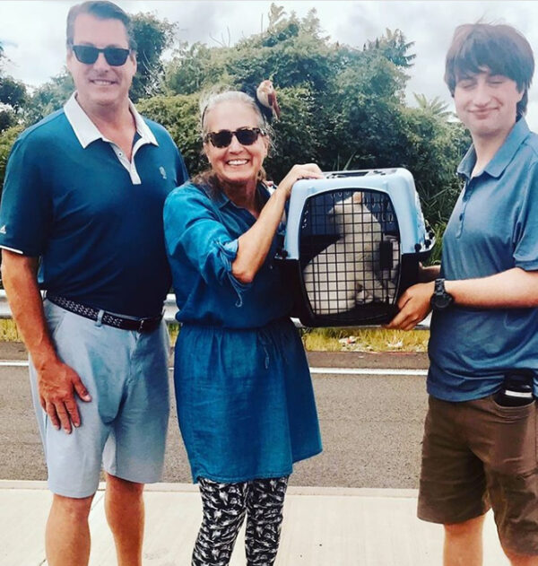 beth-blog-aug2021-sparrow-adoption