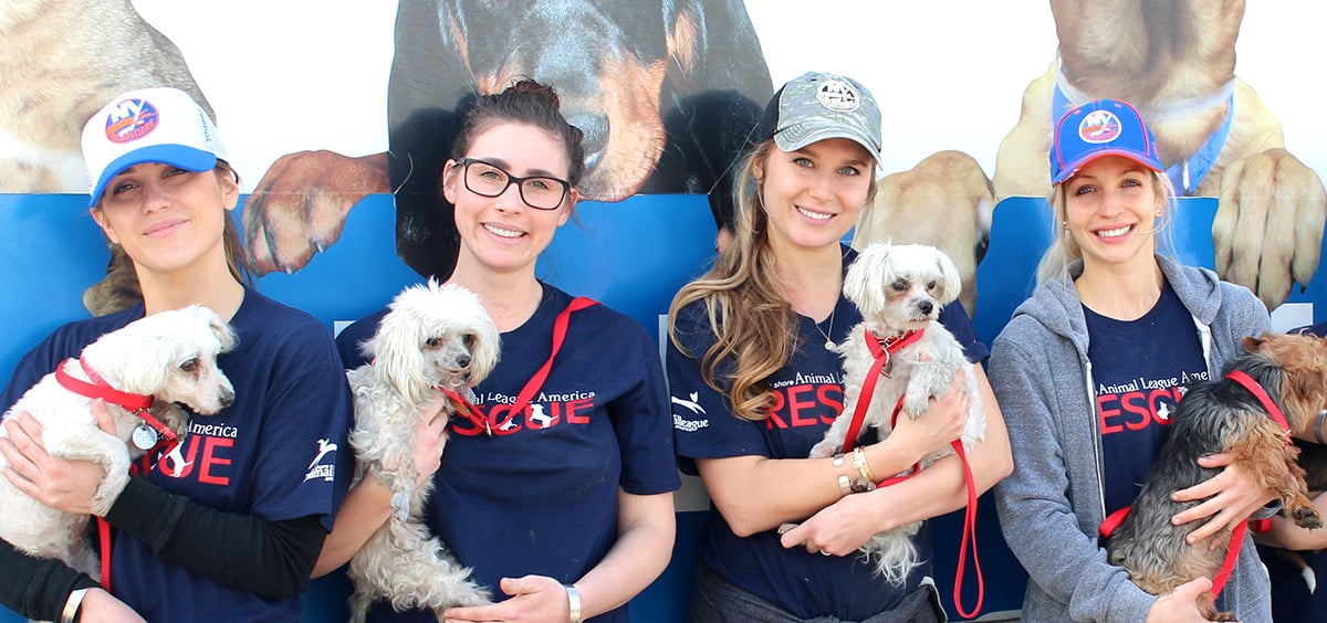 two women holding dogs and posing for a picture