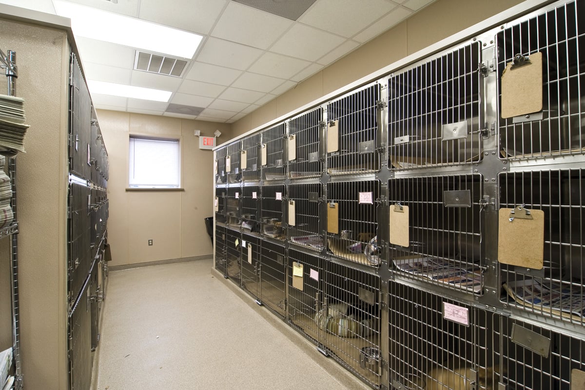 Animal league deals adoption center