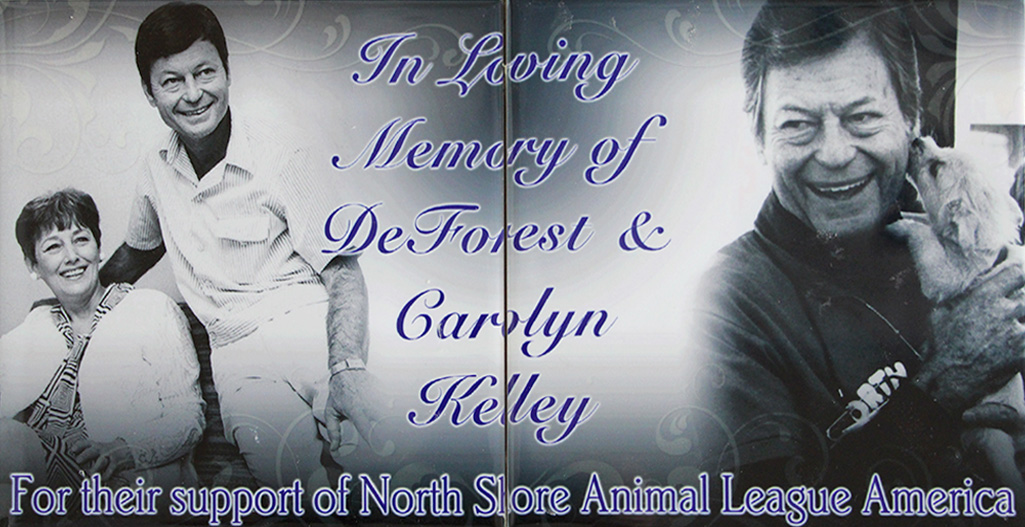 In loving memory of Deforest and Carolyn Kelley for their support of North Shore Animal League America.