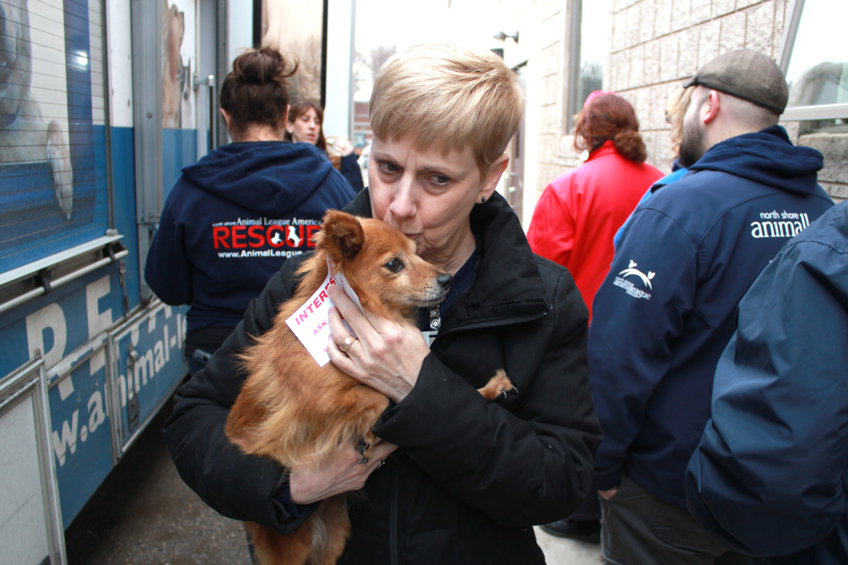 innovation-humane-relocation-our-impact-dog-puppy-05042017