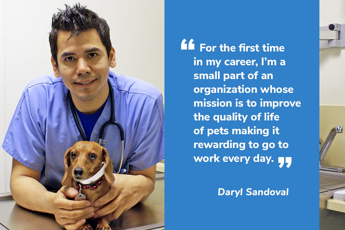 Careers | Animal League Careers | Animal League