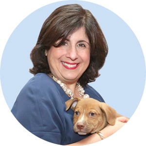 our-team-who-we-are-diana-zaferiou