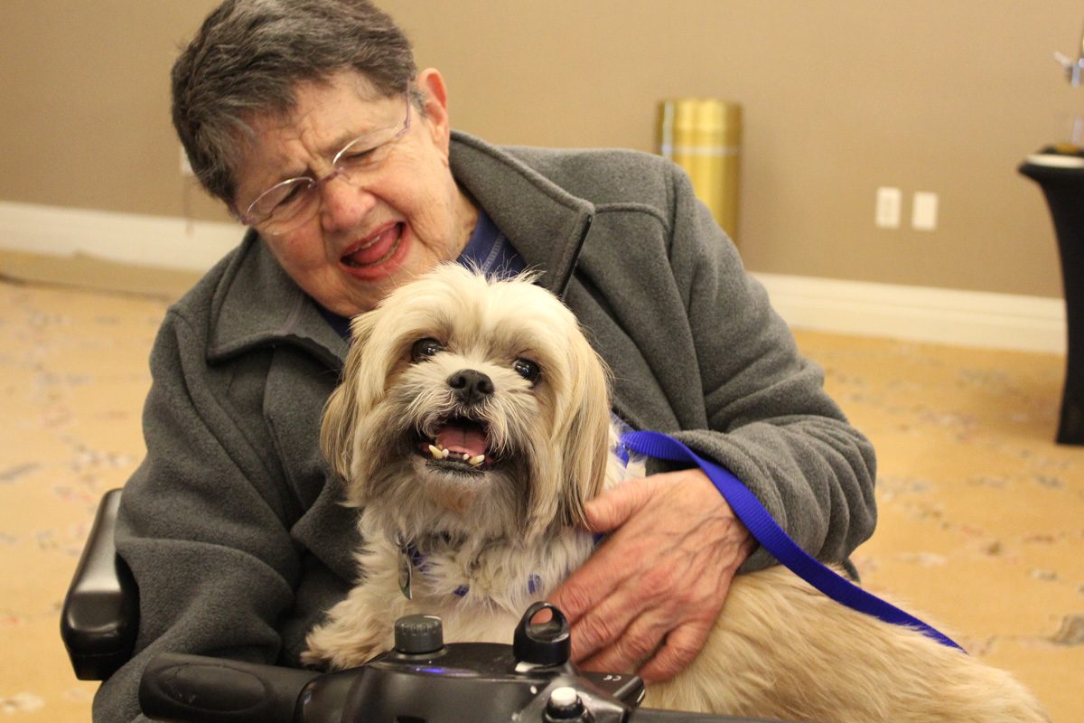 Pet-Assisted Therapy | NY Services | Animal League