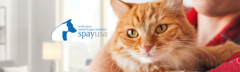 spay-usa-get-involved-nav-animal-care-nueter-05042017