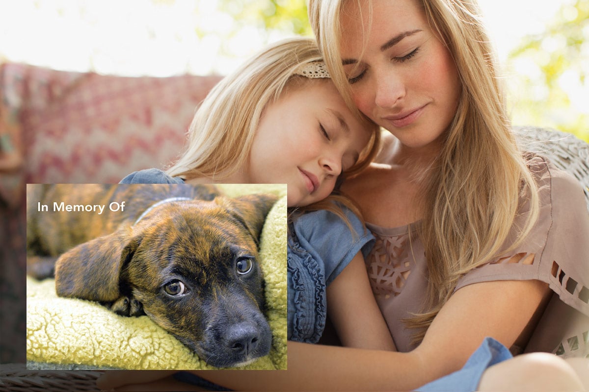 tribute-gift-ways-to-give-image-memorial-donation-05042017 Tribute Gifts - Memorial Donation