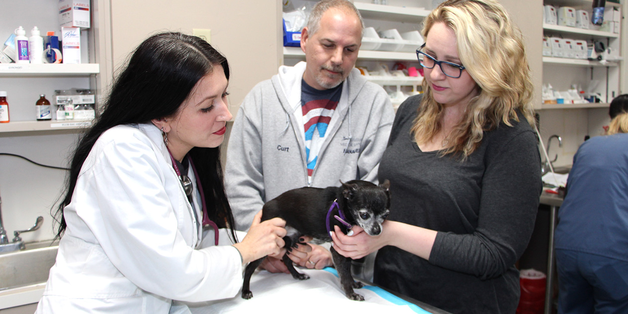 27 HQ Images All Pets Veterinary Medical Center : All Pets Veterinary Center