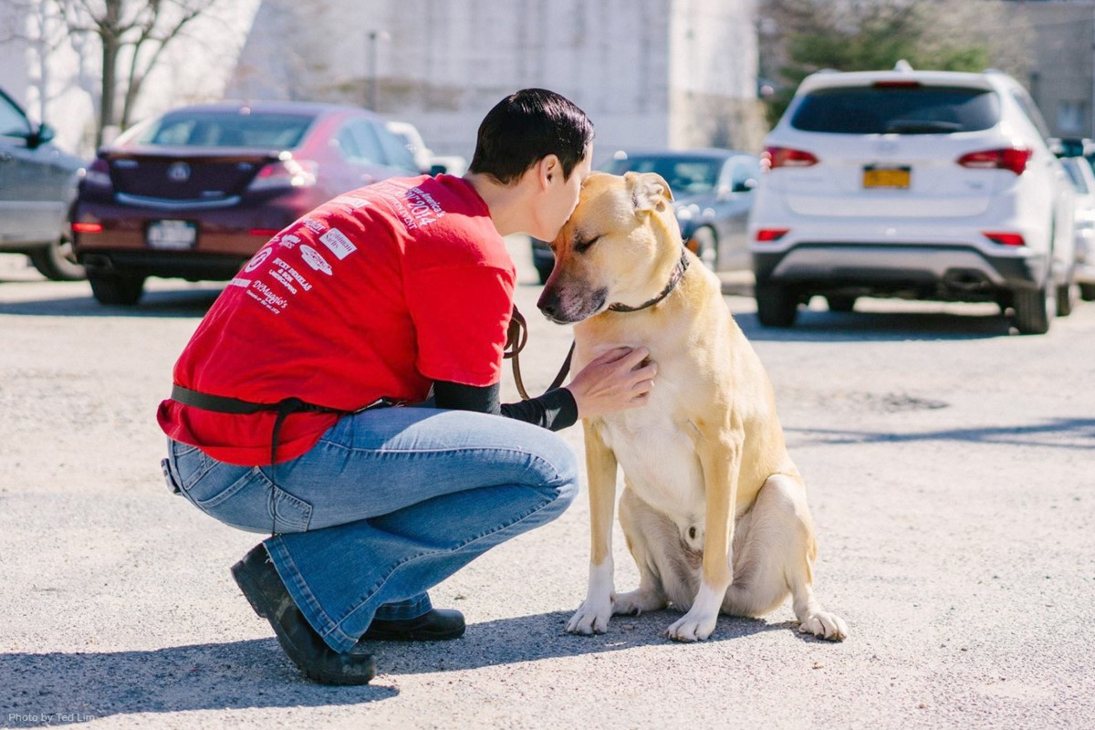 Volunteering Animal Shelter