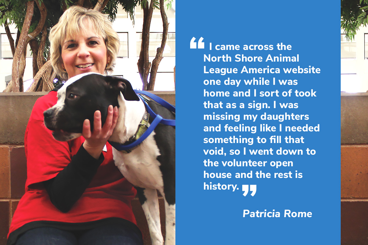 volunteer-get-involved-slide-patricia-rome-05042017 | Animal League volunteer-get-involved-slide-patricia-rome-05042017 | Animal League