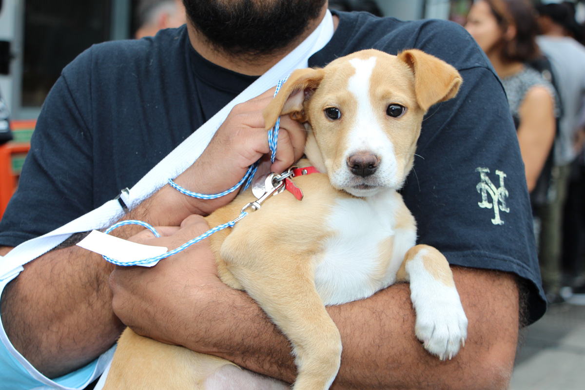 a man holding a dog