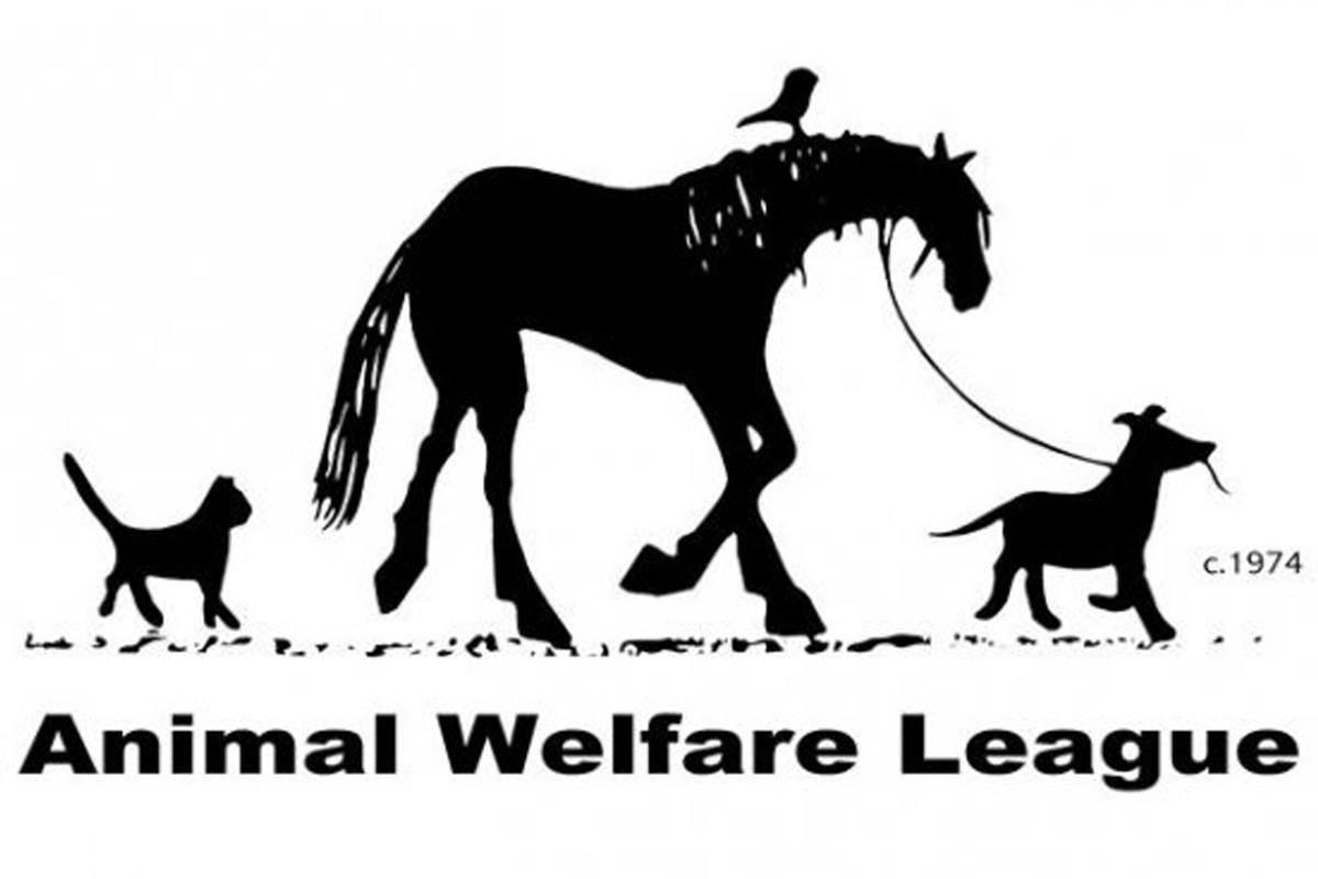 shelter-partners-who-we-are-animal-welfare-league-05042017 | Animal League shelter-partners-who-we-are-animal-welfare-league-05042017 | Animal League