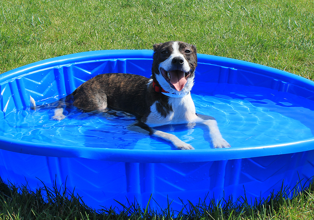 blog-summer-safety-tips-img3485-bitp2016-06202017