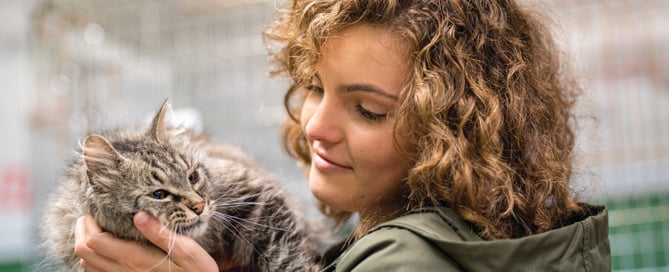 Camren Bicondova