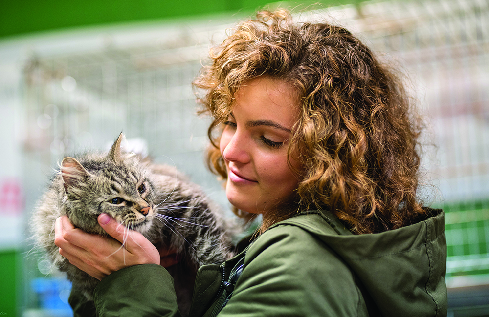 Camren Bicondova