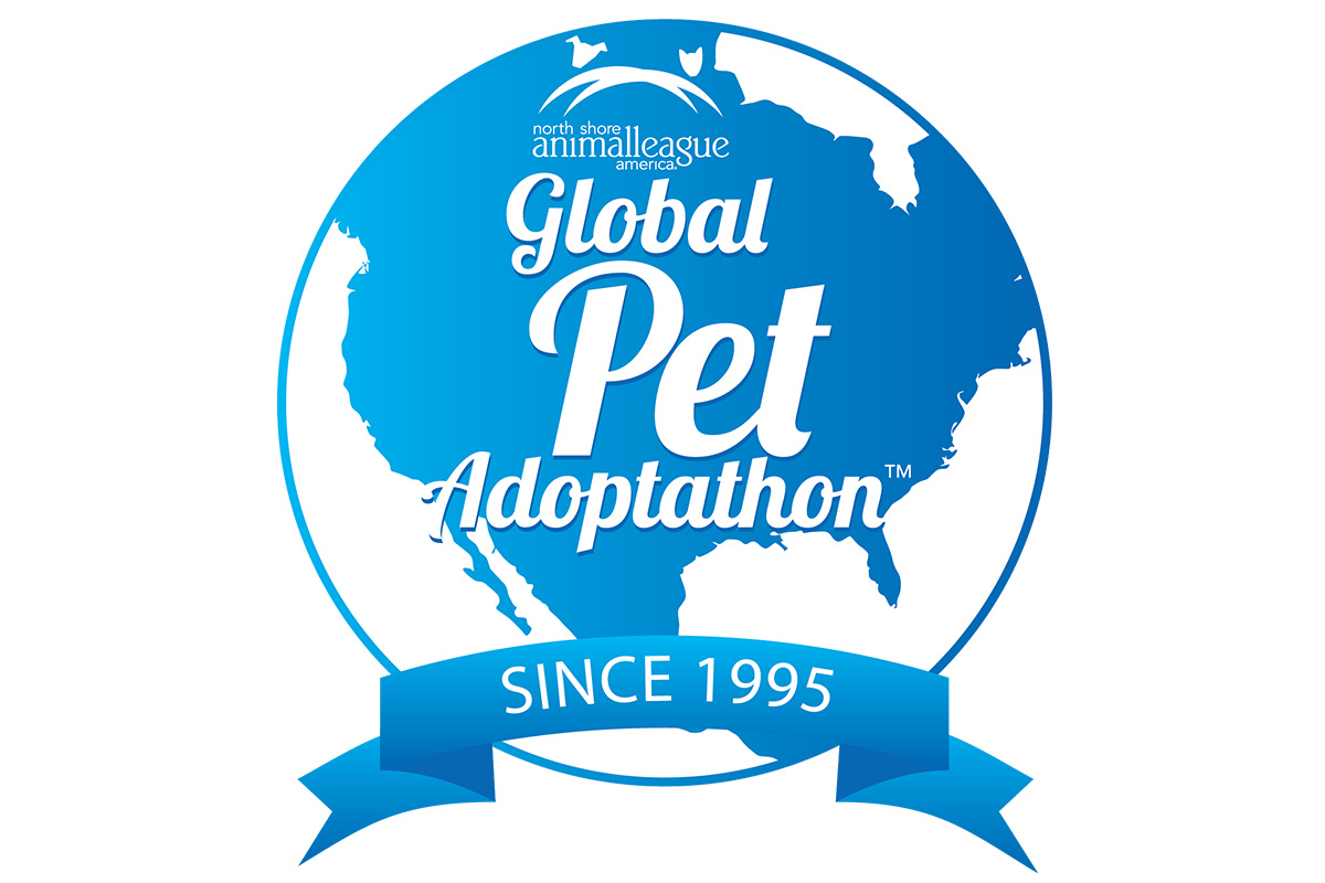 innovation-global-adoption-event-our-impact-pet-adoptathon-05042017