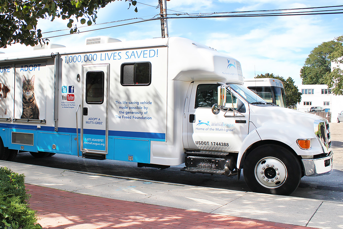 innovation-mobile-adoption-units-our-impact-dog-cat-05042017