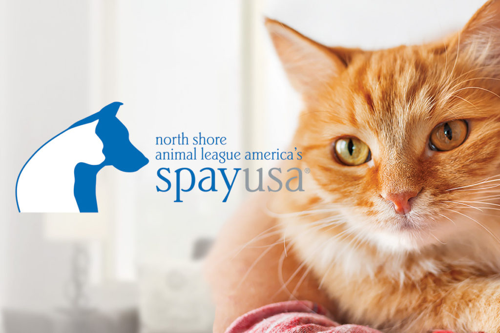Spearheading the Spay/Neuter Movement