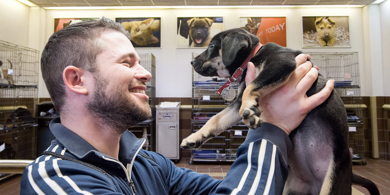 Adopt Don't Shop: Your Next Best Friend Awaits