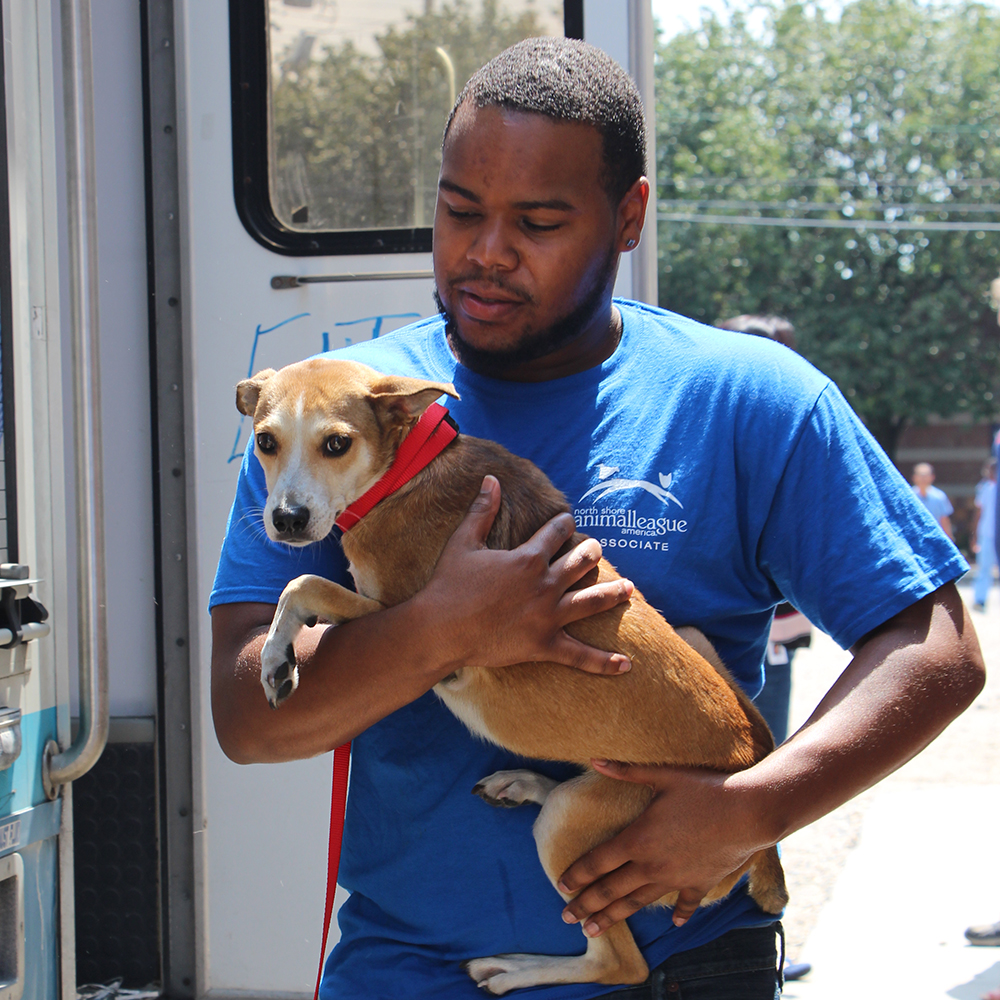 rescue-arkansas-shelters-img3972-08122016
