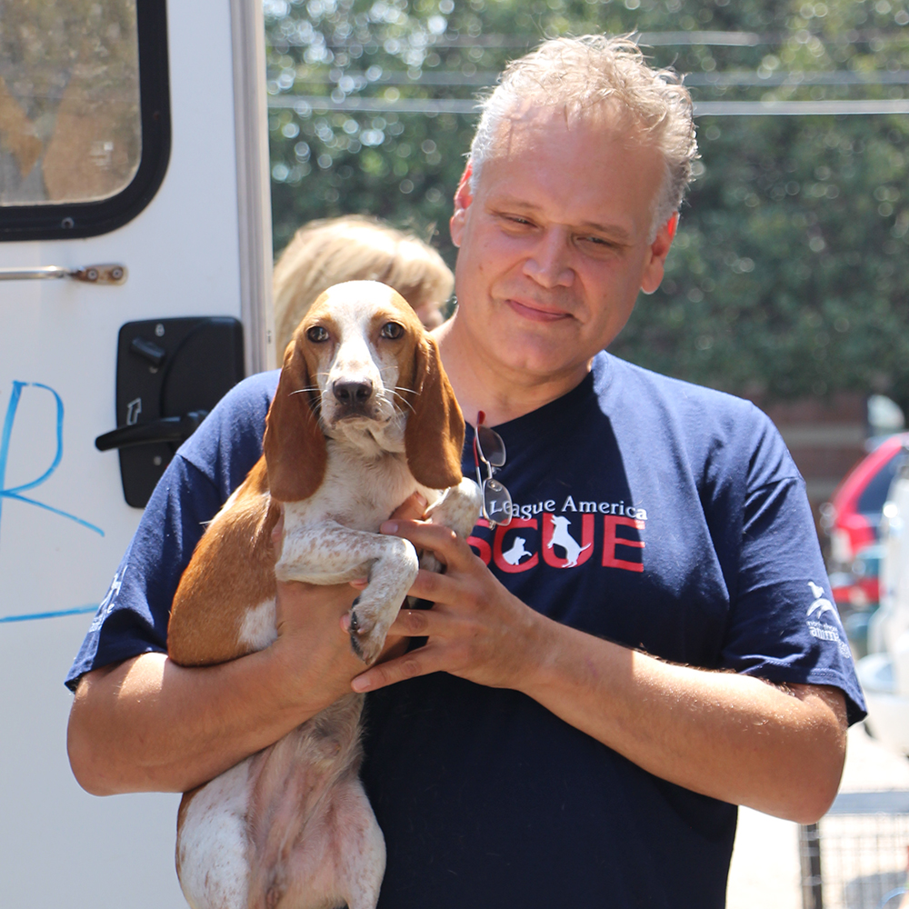 rescue-arkansas-shelters-img4047-08122016
