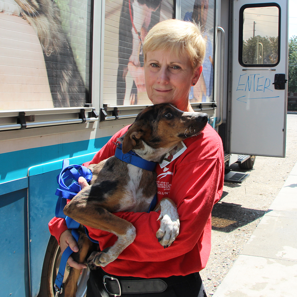 rescue-arkansas-shelters-img4073-ark4-08122016