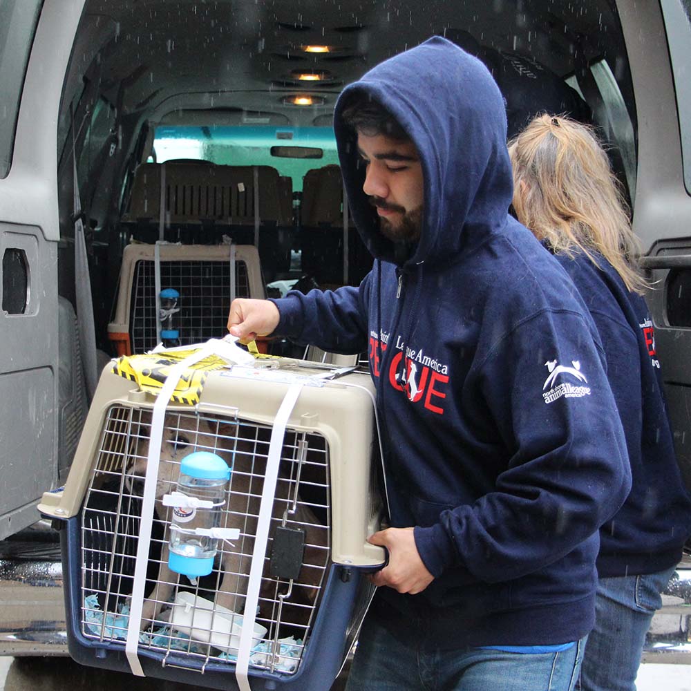 rescue-intnl-yulin-china-img3510-05222017 a man holding a cage in front of a van