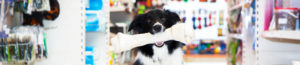 Dog with large bone in pet store.