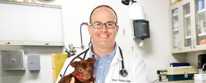 a man holding a dog