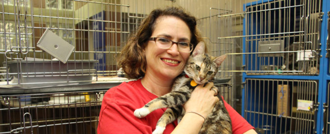 a woman holding a cat