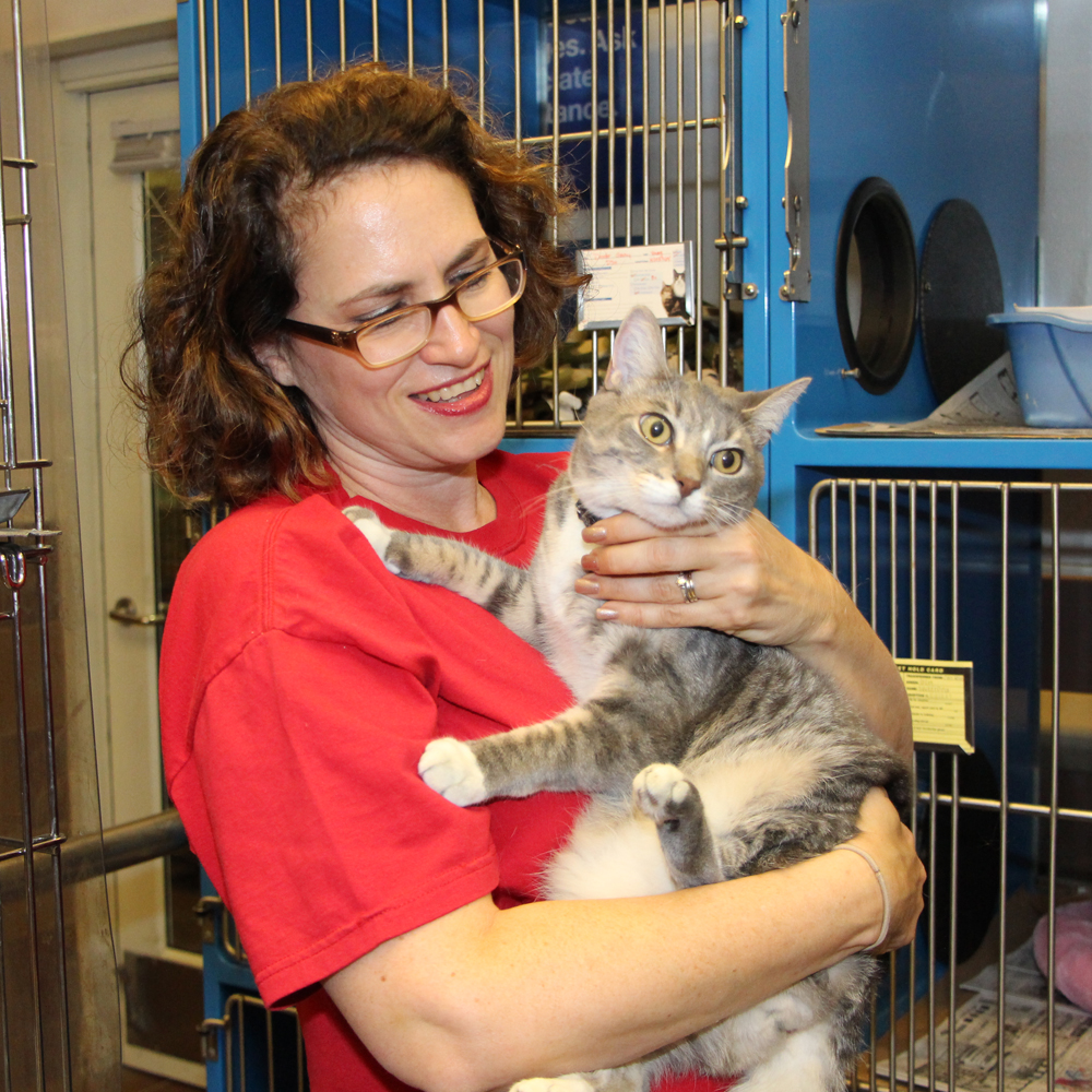 faces-of-the-league-kate-haslbauer-holding-grey-cat-10072014 a woman holding a cat in a cage