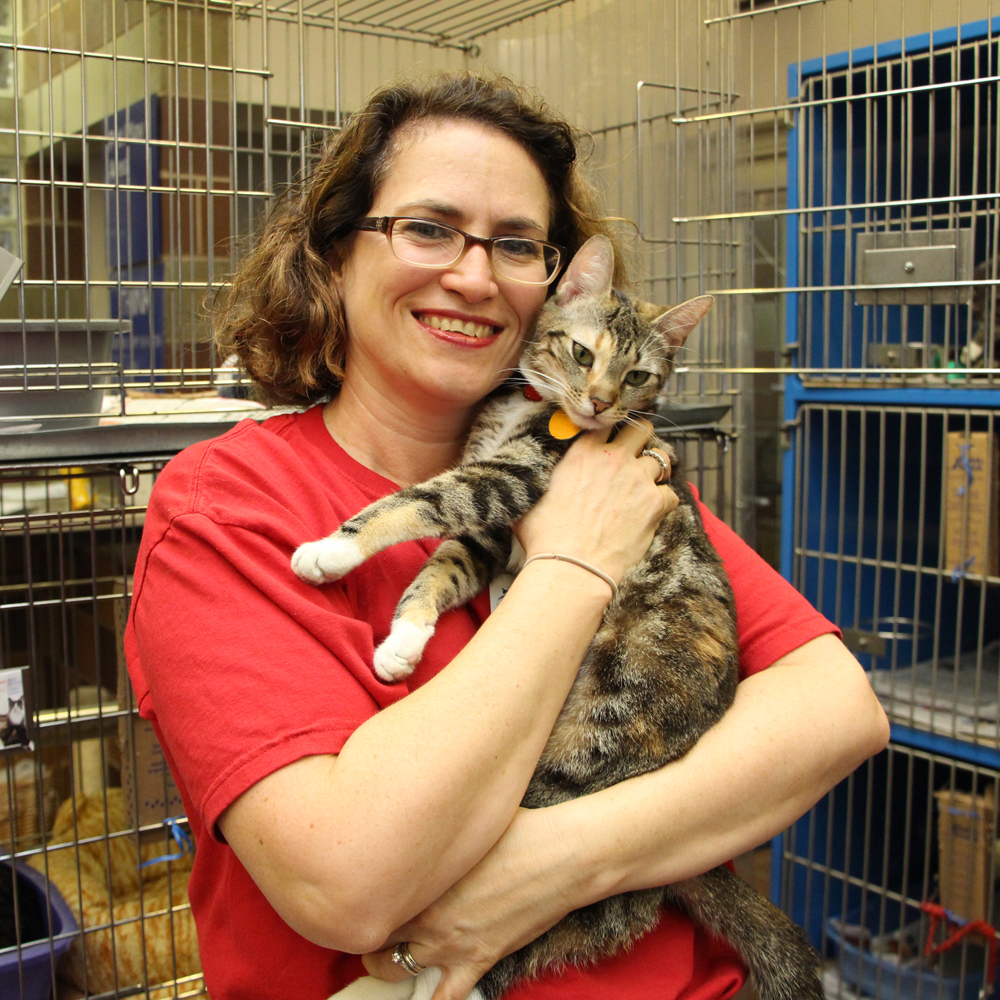 faces-of-the-league-kate-haslbauer-holding-striped-cat-10072014 a woman holding a cat in a cage