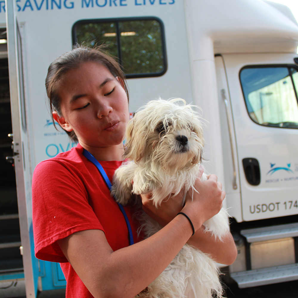 june-national-mill-dog-rescue-img-3793-06302017