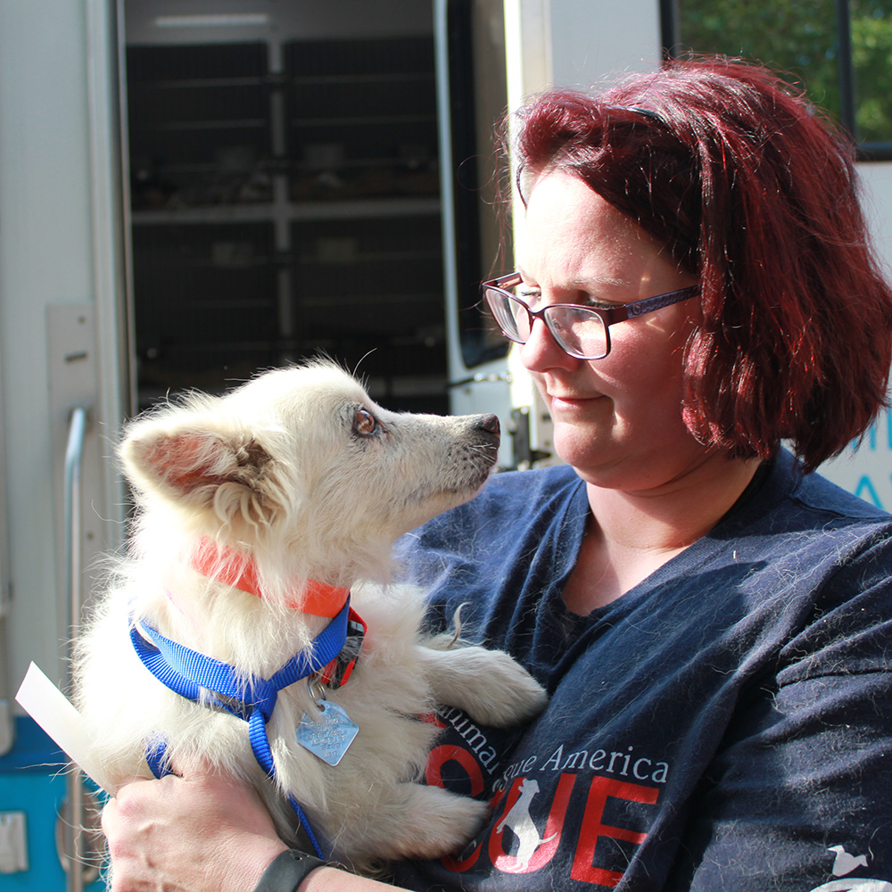 june-national-mill-dog-rescue-img-4100-06302017