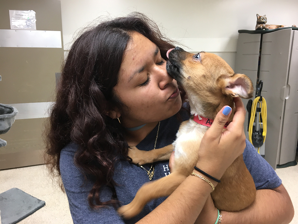 rescue-harvey-update-houston-returned-pup-090217 a woman holding a dog