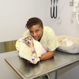 National Veterinary Technician Week