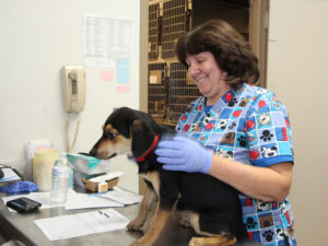 National Veterinary Technician Week