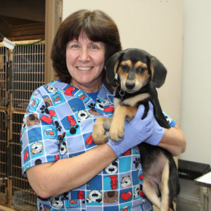 National Veterinary Technician Week