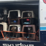 a truck with crates and dogs inside