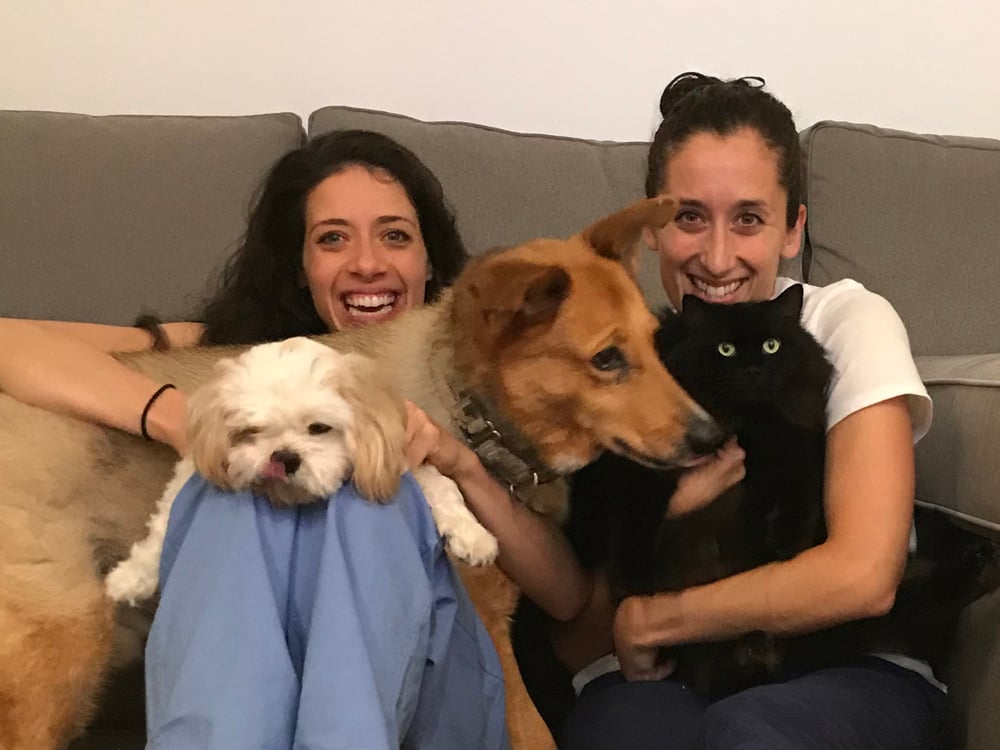 a group of women sitting on a couch with a dog and a cat