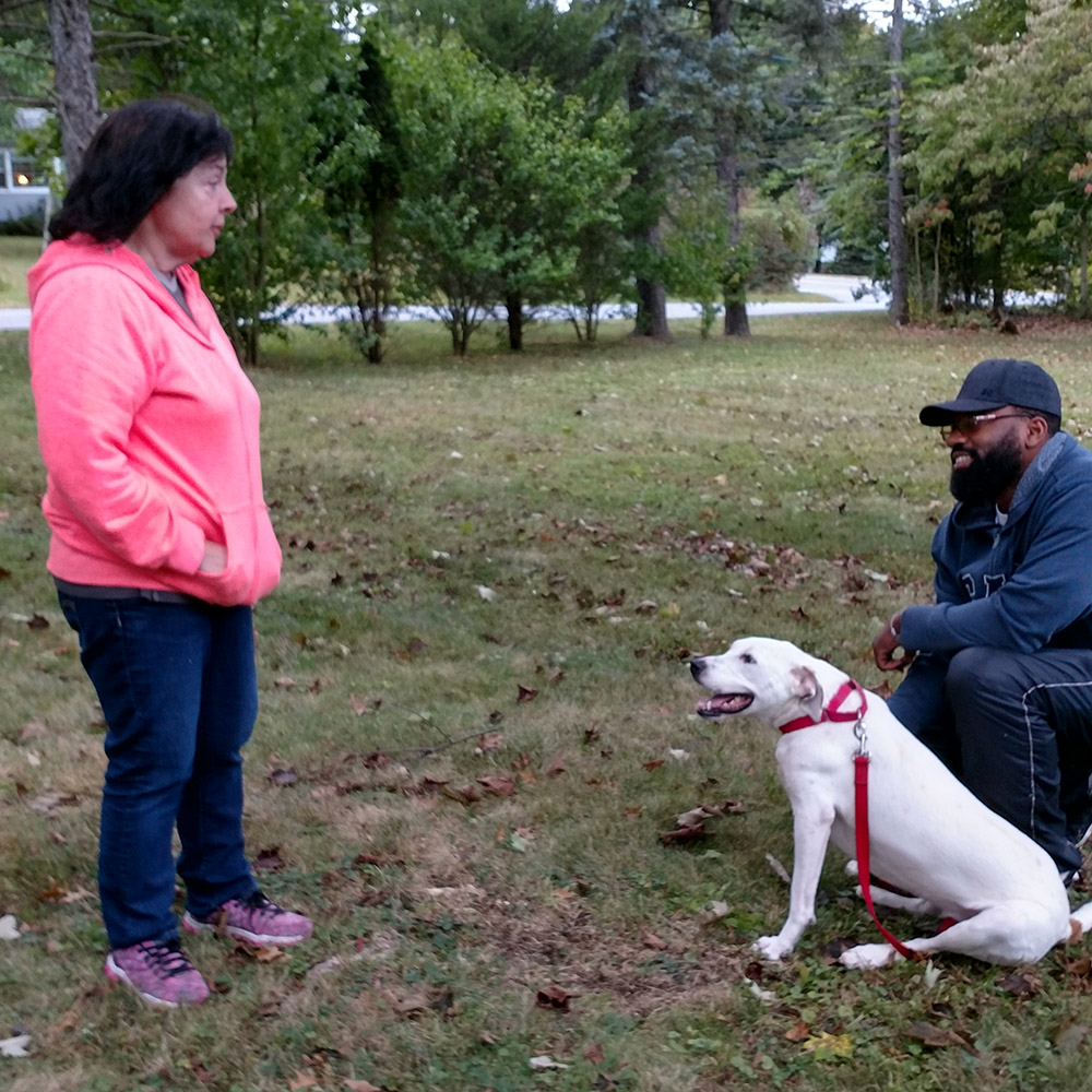 evie-ptsd-dog-with-liz-and-gavin-img20170930-172321799