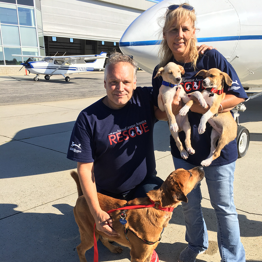 rescue-irma-turks-caicos-karla-ted-marley-pups-100217 a man and woman holding dogs