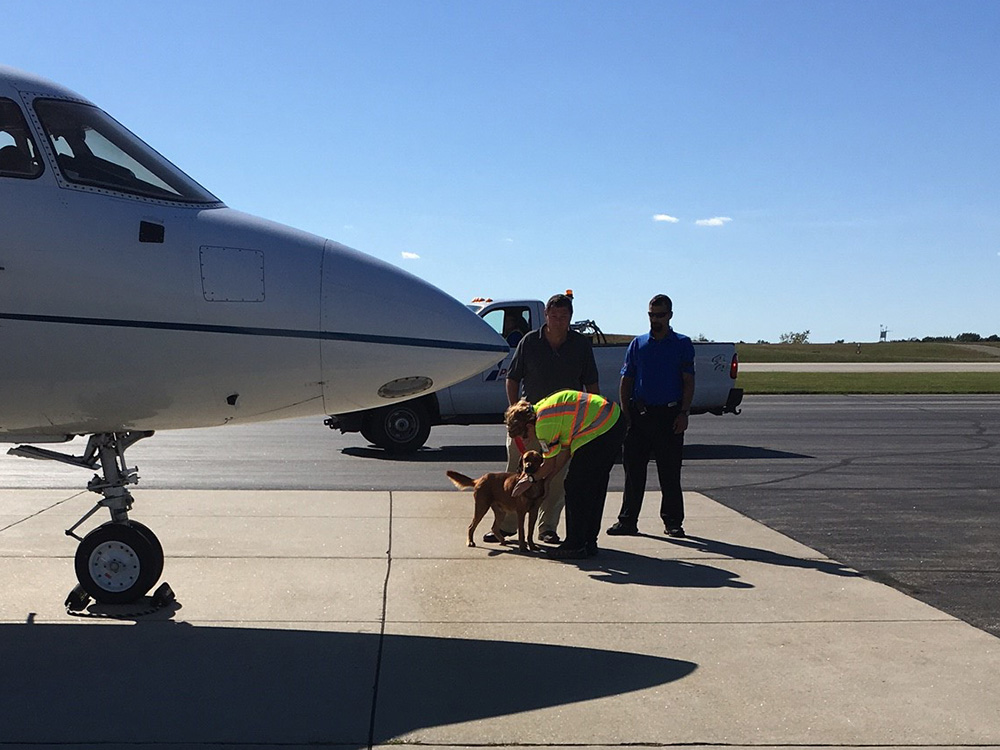 rescue-irma-turks-caicos-marley-arrives-100217 a dog and a man standing next to a plane