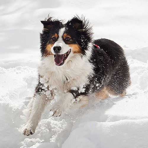 12-31-Wintertime-Snow-Play-Tips_Photo